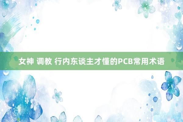 女神 调教 行内东谈主才懂的PCB常用术语