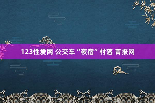 123性爱网 公交车“夜宿”村落 青报网