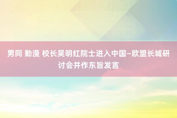 男同 動漫 校长吴明红院士进入中国—欧盟长城研讨会并作东旨发言