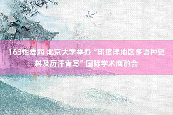 163性爱网 北京大学举办“印度洋地区多语种史料及历汗青写”国际学术商酌会