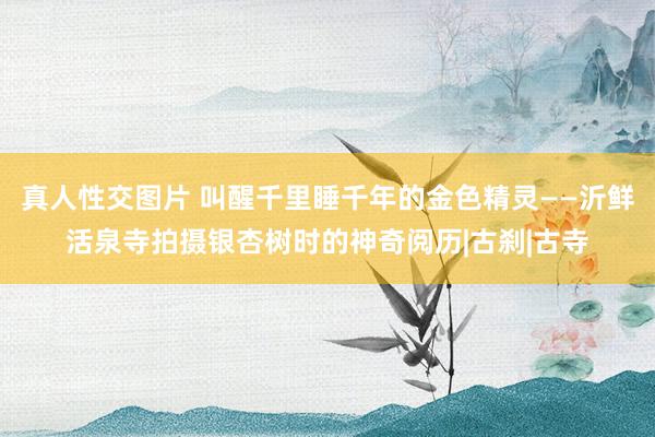 真人性交图片 叫醒千里睡千年的金色精灵——沂鲜活泉寺拍摄银杏树时的神奇阅历|古刹|古寺