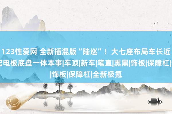 123性爱网 全新插混版“陆巡”！大七座布局车长近5米2，配电板底盘一体本事|车顶|新车|笔直|熏黑|饰板|保障杠|全新极氪