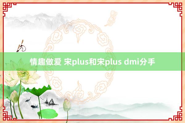 情趣做爱 宋plus和宋plus dmi分手