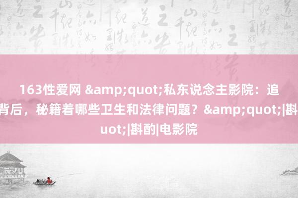 163性爱网 &quot;私东说念主影院：追求刺激的背后，秘籍着哪些卫生和法律问题？&quot;|斟酌|电影院