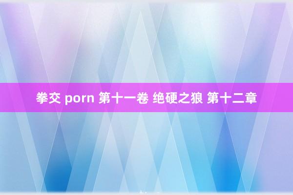 拳交 porn 第十一卷 绝硬之狼 第十二章