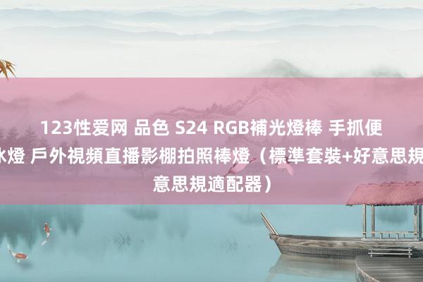 123性爱网 品色 S24 RGB補光燈棒 手抓便攜彩色冰燈 戶外視頻直播影棚拍照棒燈（標準套裝+好意思規適配器）