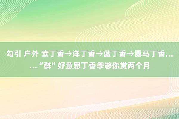 勾引 户外 紫丁香→洋丁香→蓝丁香→暴马丁香......“醉”好意思丁香季够你赏两个月