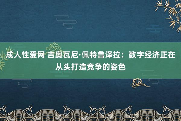 成人性爱网 吉奥瓦尼·佩特鲁泽拉：数字经济正在从头打造竞争的姿色