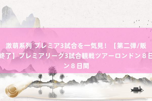 激萌系列 プレミア3試合を一気見！【第二弾/販売終了】プレミアリーグ3試合観戦ツアー　ロンドン８日間