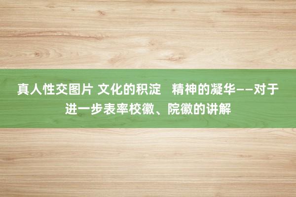 真人性交图片 文化的积淀   精神的凝华——对于进一步表率校徽、院徽的讲解